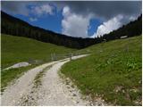 Planina Vodol - Planina Javorje